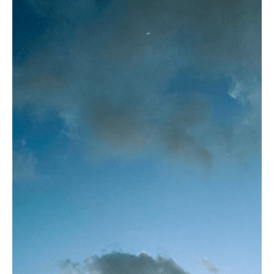 鴉 / 物思いに耽るのジャケット写真