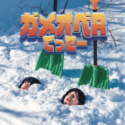 ガメオベRでっせーのジャケット写真