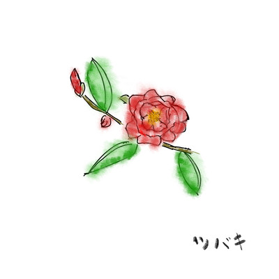 ツバキのジャケット写真