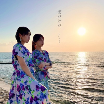 愛だけだのジャケット写真