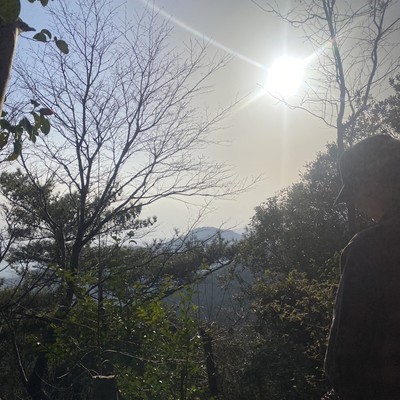 alwaysのジャケット写真