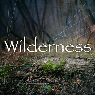 wilderness Front Cover