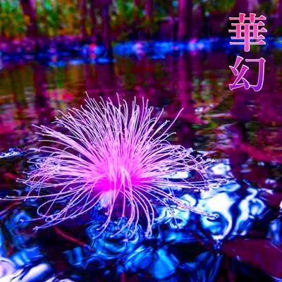 華幻のジャケット写真