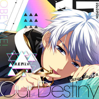 Our Destiny (Remix) Front Cover