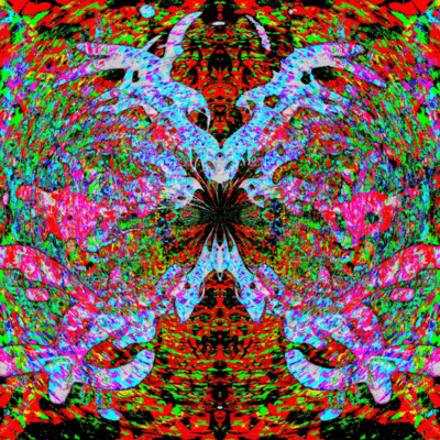 WELCOME BACK CHAOS Front Cover