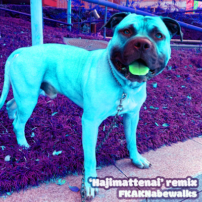 Hajimattenai (FKAKNabewalks Remix)のジャケット写真