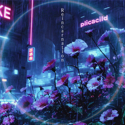 Reincarnation Front Cover