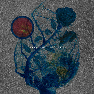 彗星の言い訳のジャケット写真