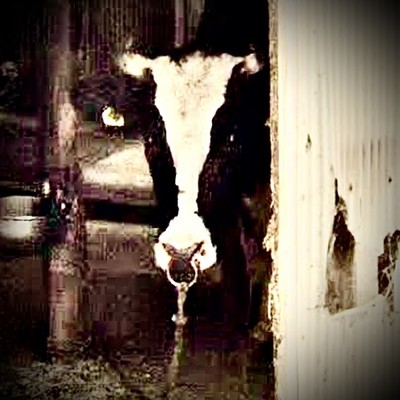 n'xanta-la Front Cover