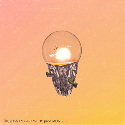 NANIMOIWANAKUTEII Front Cover