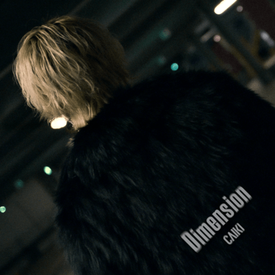 Dimensionのジャケット写真