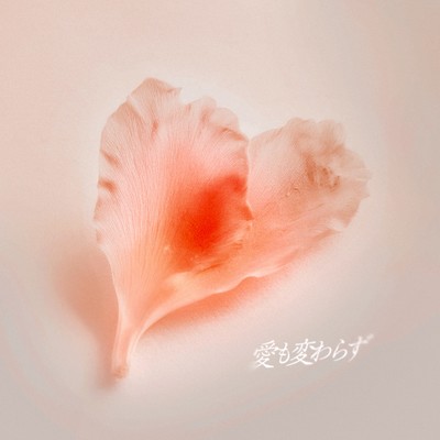 愛も変わらずのジャケット写真