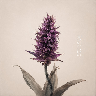 MATIGAIDARAKENO Front Cover