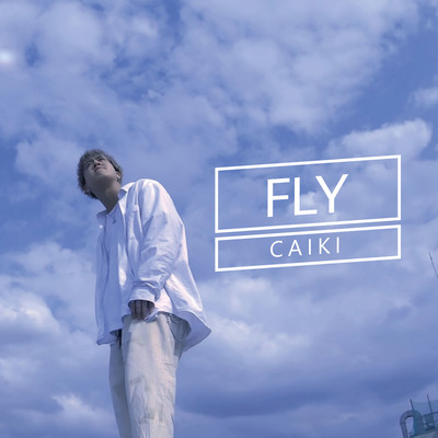 FLYのジャケット写真
