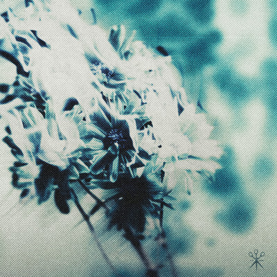 Death Of Meのジャケット写真