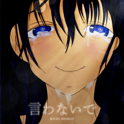 IWANAIDE Front Cover