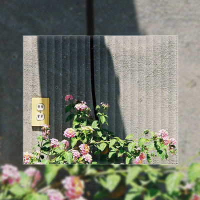 Losing Youのジャケット写真