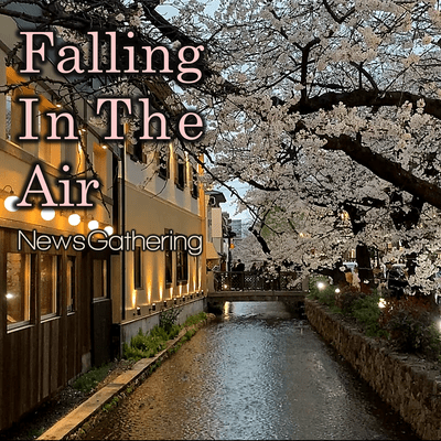 Falling In The Air Front Cover