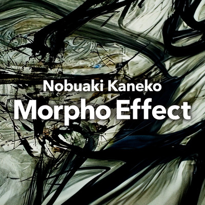 Morpho Effect Front Cover