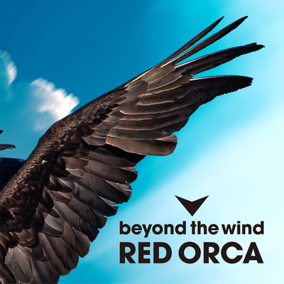 beyond the wind Front Cover