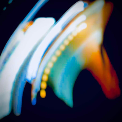 RUNNING INTO THE SHINING (feat. DaybreakFreek) Front Cover