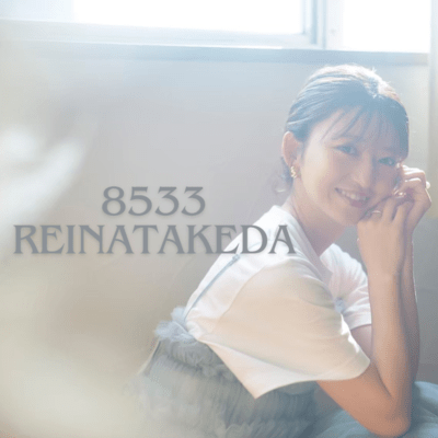 8533 Front Cover