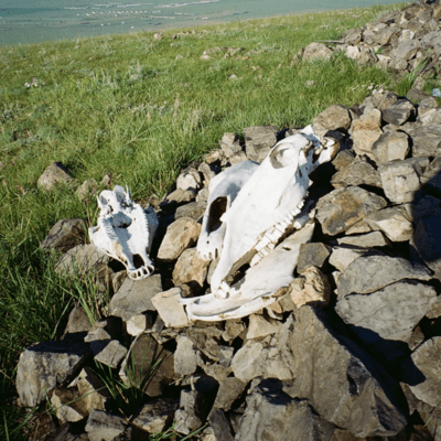 I'm looking for Front Cover