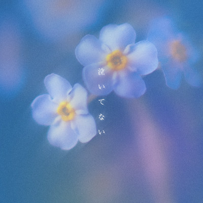 myosotis Front Cover