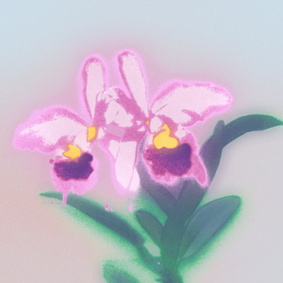 Saudadeのジャケット写真