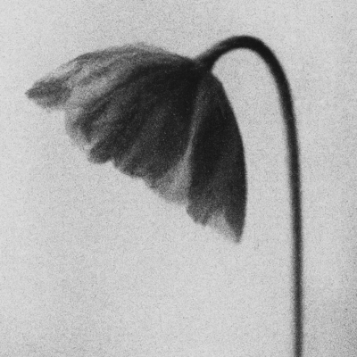 Sanguine Clay (feat. Lil Summer)のジャケット写真