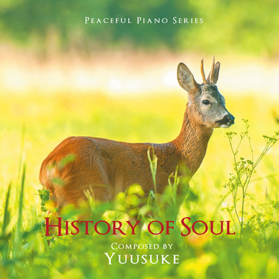 History of Soul -Peaceful Piano- Front Cover