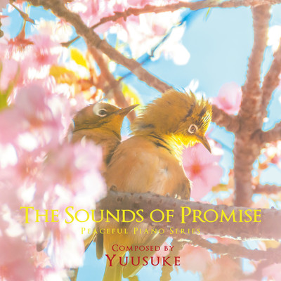 The Sounds of Promise Front Cover