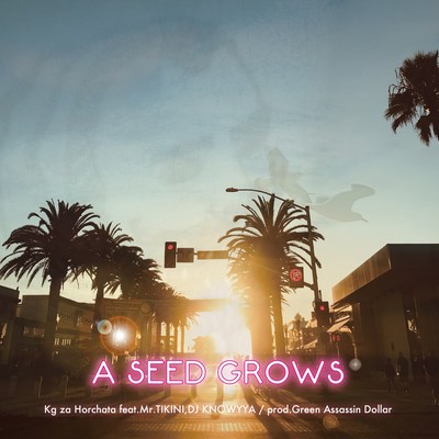 A SEED GROWS (feat. Mr.TIKINI & DJ KNOWYYA) Front Cover