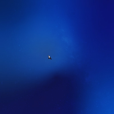 Fly away Front Cover