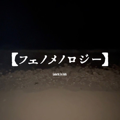 Phenomenology Front Cover