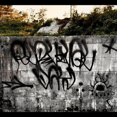 Survival days (feat. WINP) Front Cover