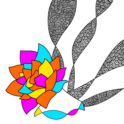 PMDDのジャケット写真