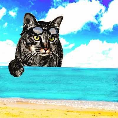 Static and Dynamic Emotion Front Cover