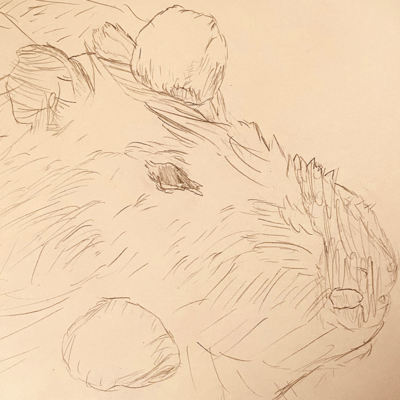 Capybara Lodi Front Cover