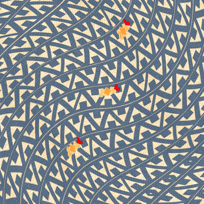 tenn musu Front Cover