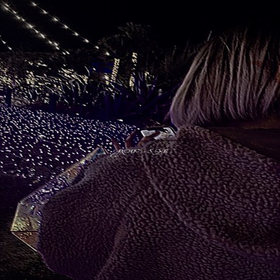 ROSE (feat. S.A.D Force) Front Cover