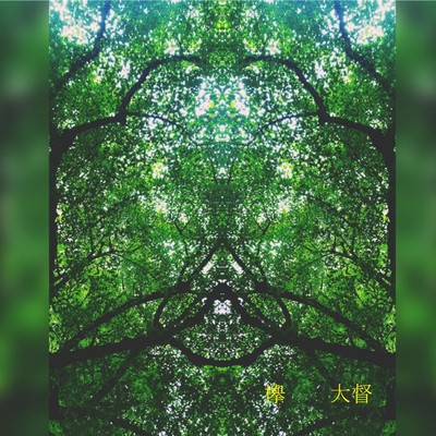 Zelkova Front Cover
