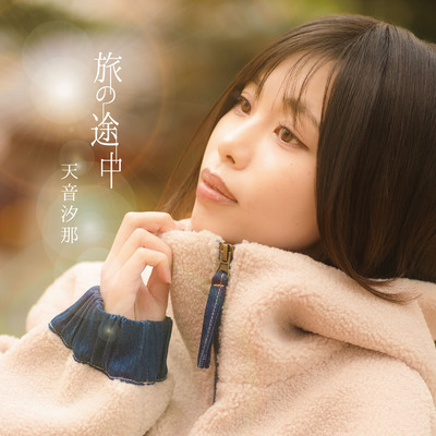 旅の途中のジャケット写真
