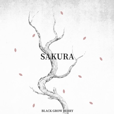 SAKURA Front Cover