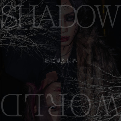 影に見た世界のジャケット写真