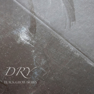 DRYのジャケット写真