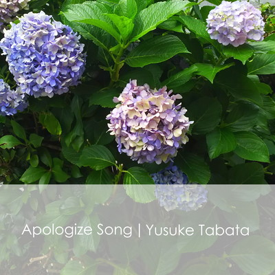 Apologize Songのジャケット写真