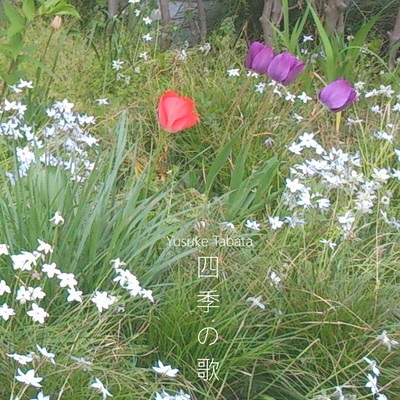 四季の歌のジャケット写真