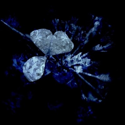 Anteinikiyu (feat. yukiko) Front Cover