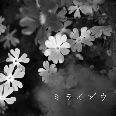 MIRAIZOU Front Cover